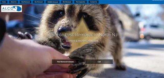 Marketing For pest control